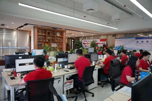 德永信集團品牌建設(shè)日 以閱兵精神賦能高質(zhì)量注冊公司代辦服務(wù)